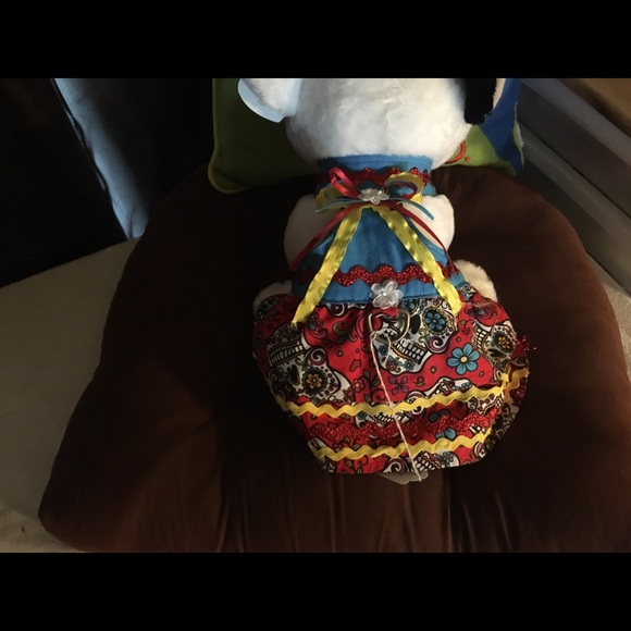 Meet your Posher, Susan - Picture 2 of 8